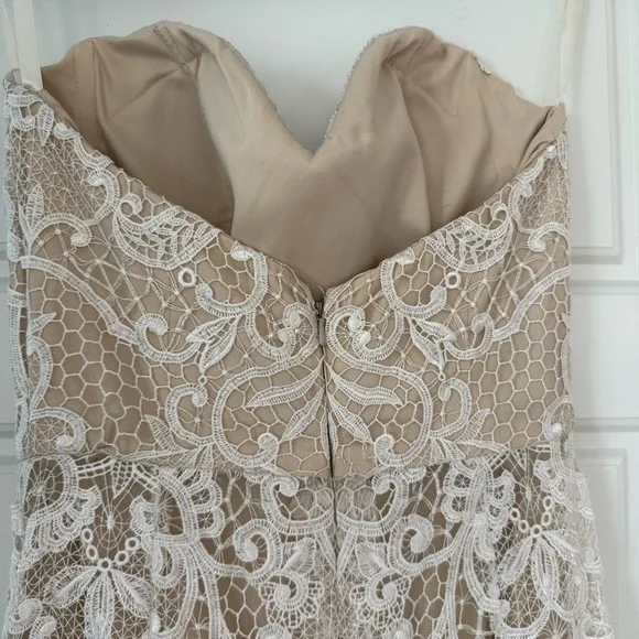 Tara Lauren Spring 2017 Strapless Lace Over Satin with Train Wedding Dress Sz 10 - Picture 2 of 15